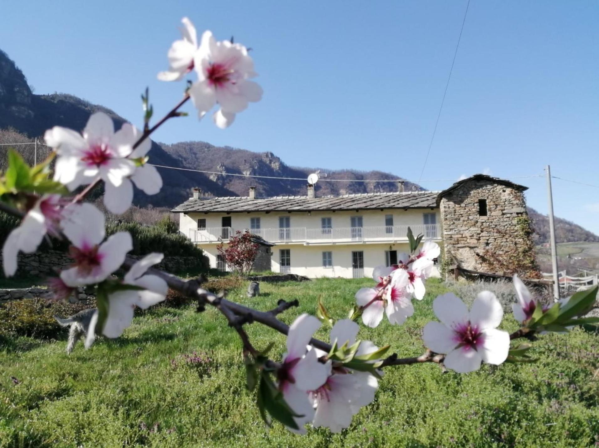 Bed and Breakfast Le Faye Envie Esterno foto