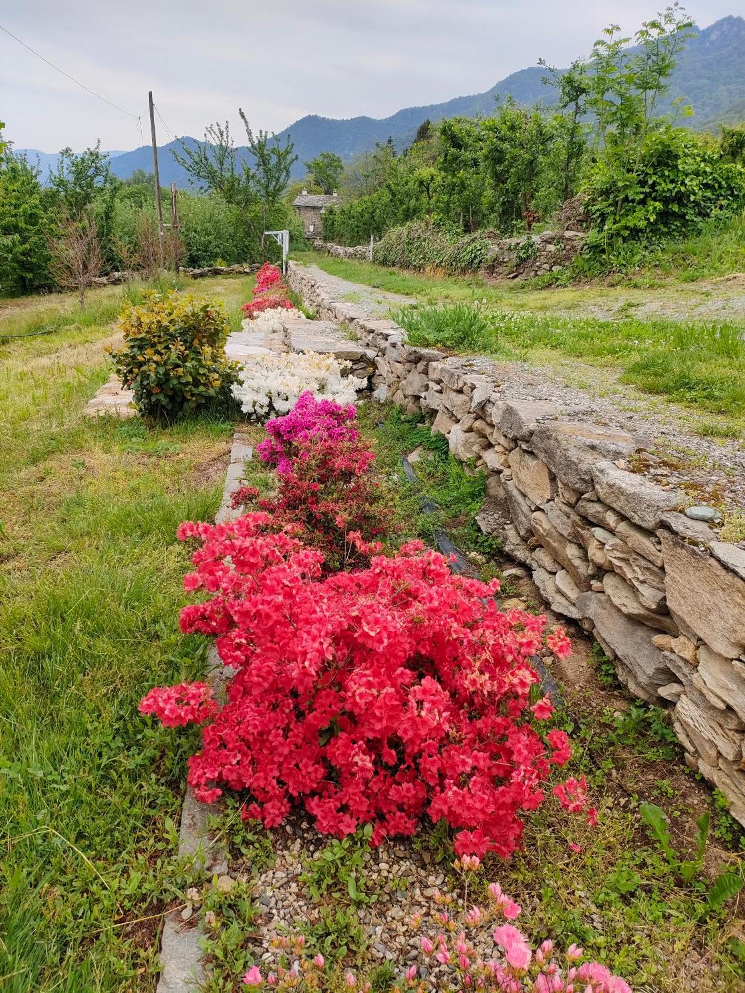 Bed and Breakfast Le Faye Envie Esterno foto
